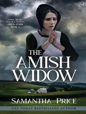 The Amish Widow - ebook